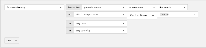 A Segment filter for a person who has made a purchase at least once this month with tote as the product