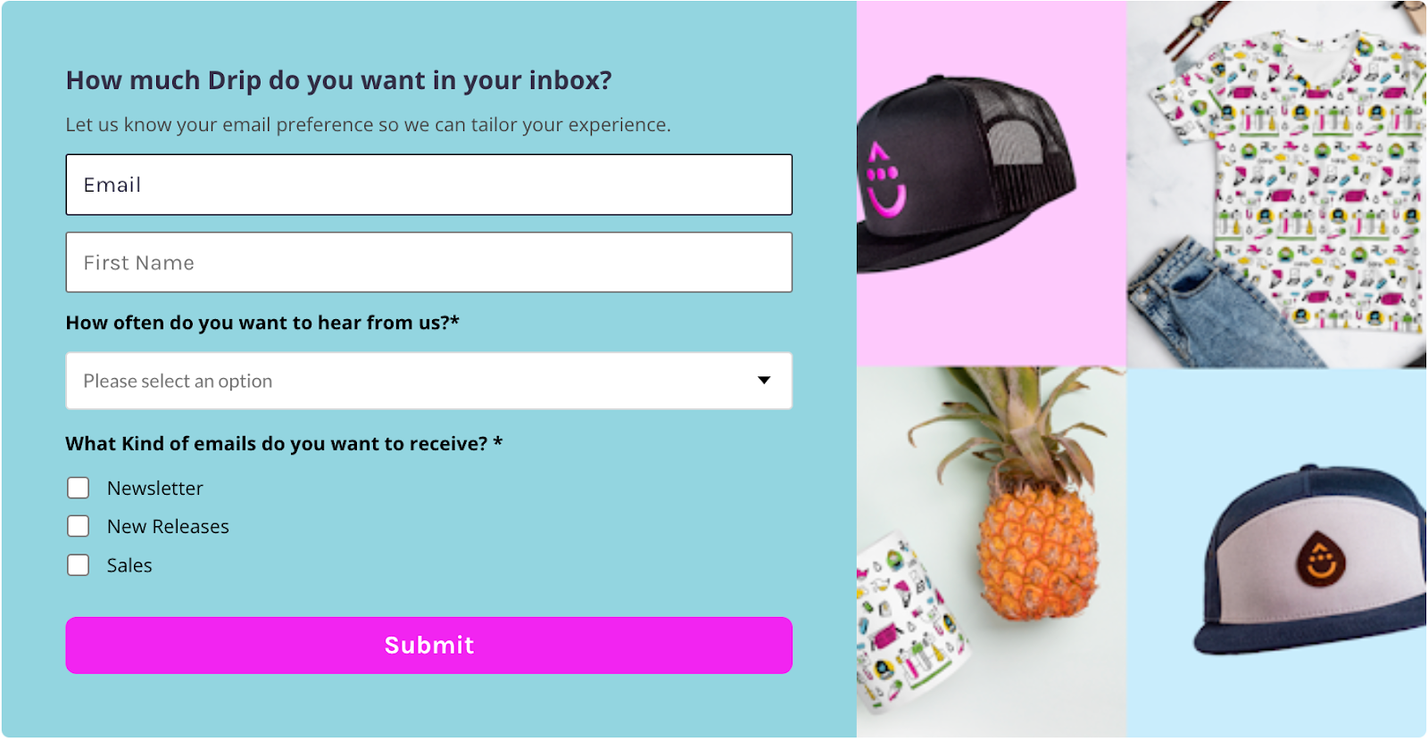Image of the subscription management form