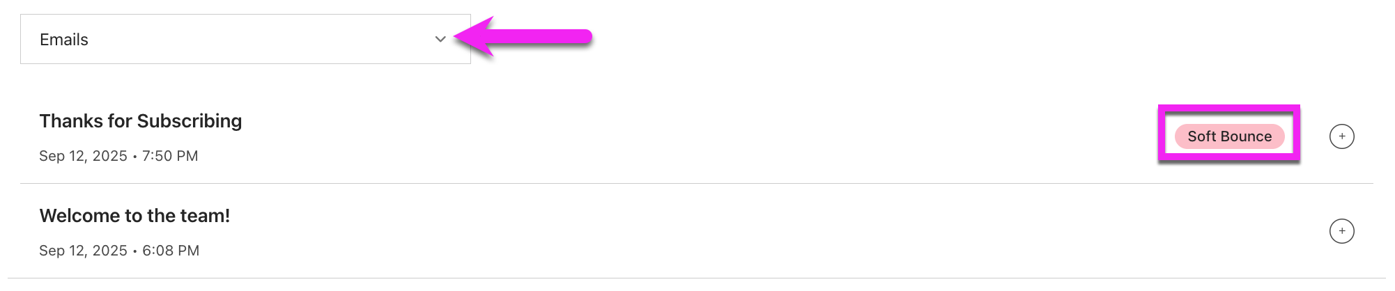 Bottom of profile in the Email Activity Tab showing Campaign with status of Soft Bounced