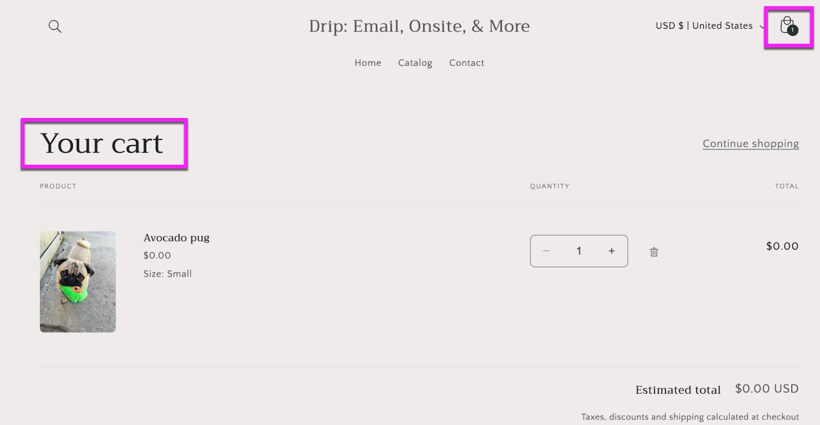 Example of Shopify Store Cart 